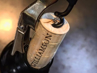 williamson wine tour and lunch windsor lobster feed