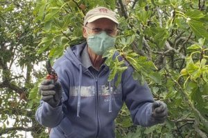 Image A Sept 1 20(1)