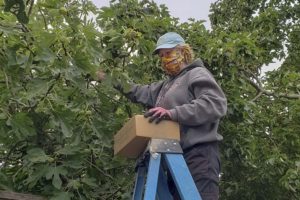 Image B Sept 1 20(1)