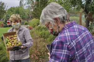 Image E Sept 1 20(1)