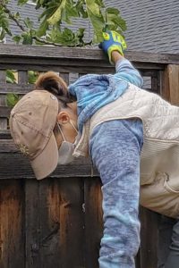 Image F Sept 1 20(1)